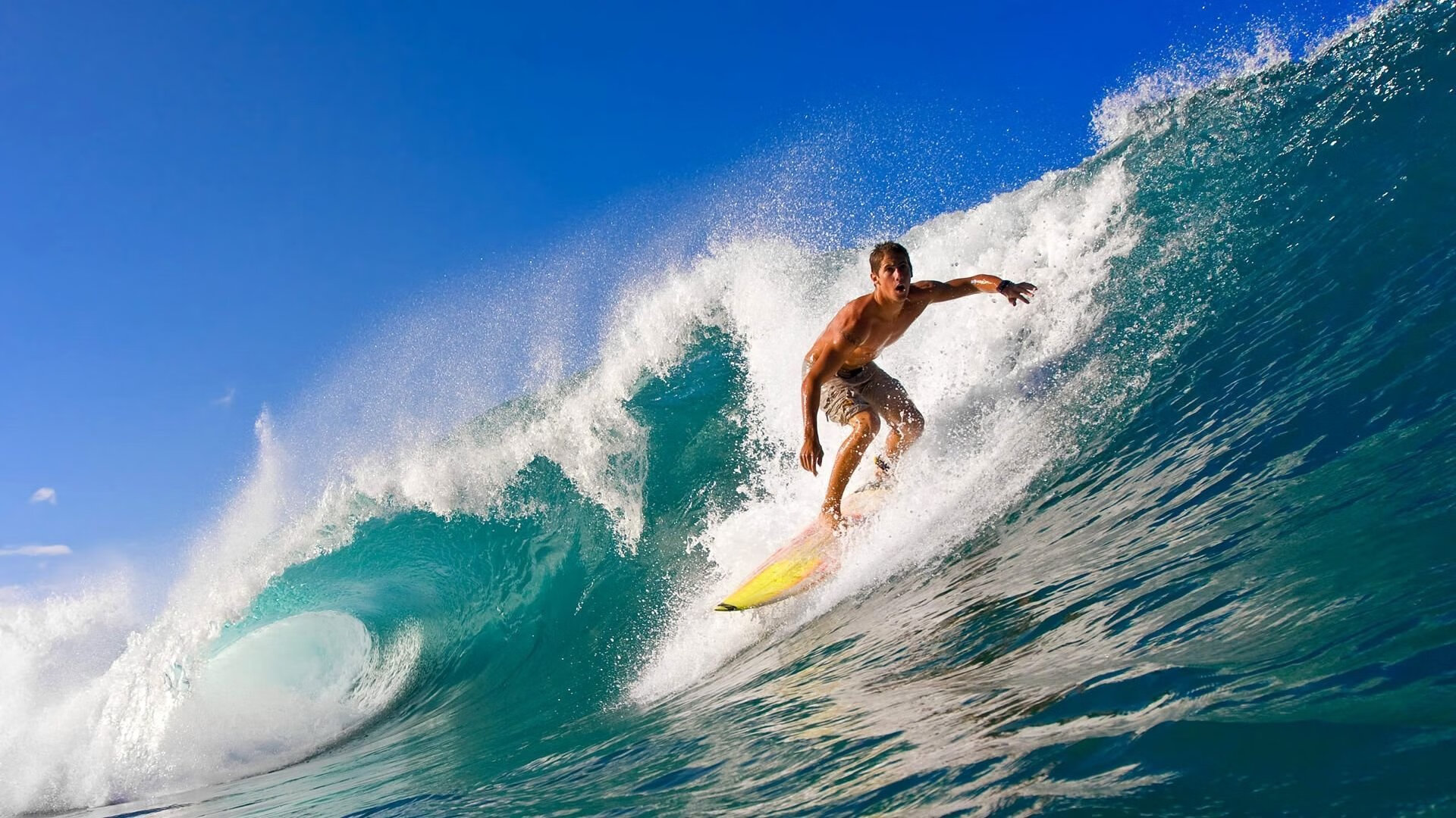 戈贝尔爆发，当防守成为最锋利的矛，猛龙提前终结了奇才的悬念