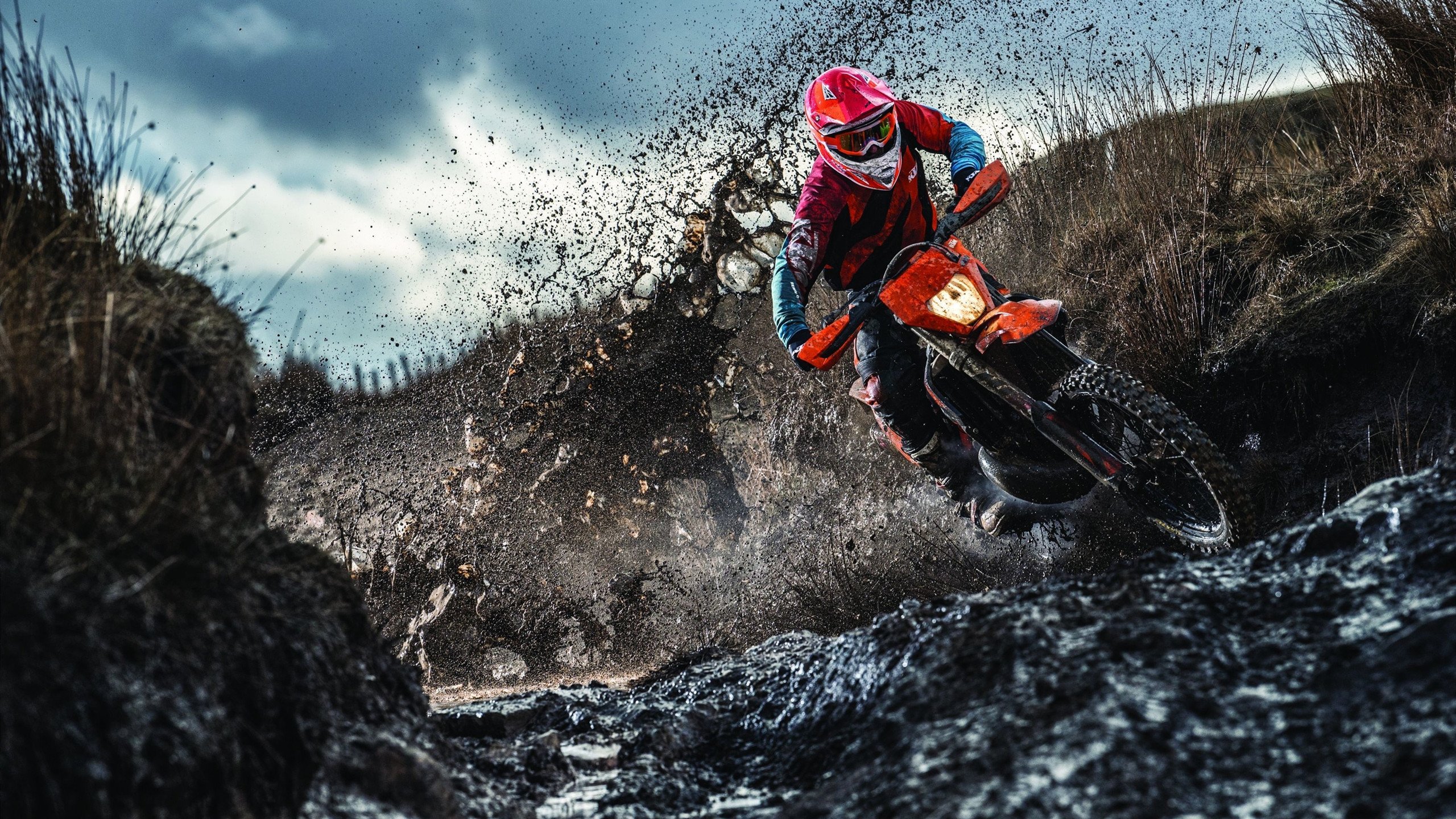 布克完美风暴撕裂灰熊，76人关键战突围启示录